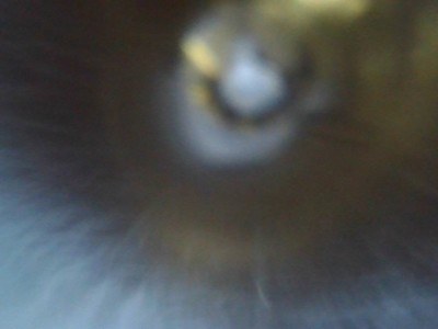 REMINGTON 887 NITROMAG 12 GA - Image 25 of 25