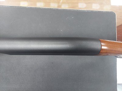 REMINGTON 870 EXPRESS .410 BORE - Image 22 of 25