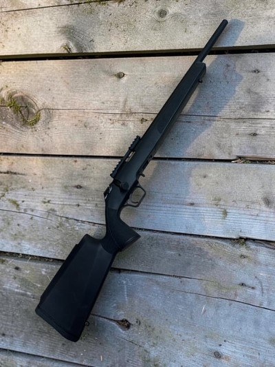 SPRINGFIELD ARMORY Target .22 LR - Image 3 of 3