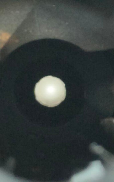 SAVAGE ARMS 110 6.5mm CREEDMOOR - Image 12 of 12