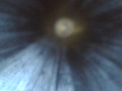 MOSSBERG 500 12 GA - Image 24 of 25