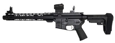 PALMETTO STATE ARMORY PA-15 .300 AAC BLACKOUT - Image 1 of 8