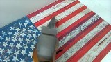 COLT match target .22 LR - Image 5 of 12