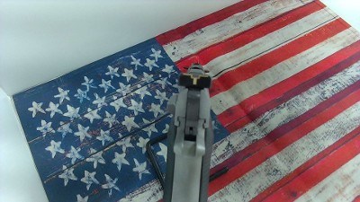AMT automag II .22 WMR - Image 4 of 8