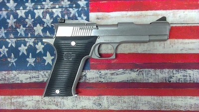 AMT automag II .22 WMR