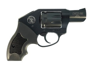 CHARTER ARMS THE WALKER .22 LR .22 LR - Image 2 of 2