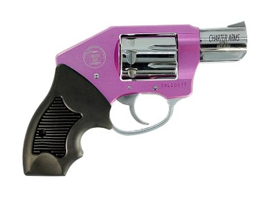 CHARTER ARMS THE WALKER .22 LR .22 LR - Image 2 of 2