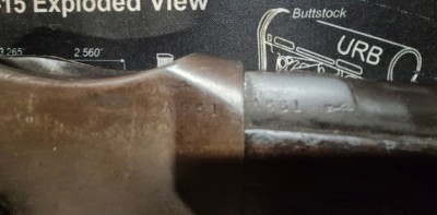 MARTINI THE FIELD RIFLE COMPANY OF BIRMINGHAM .450 RIGBY - Image 1 of 6