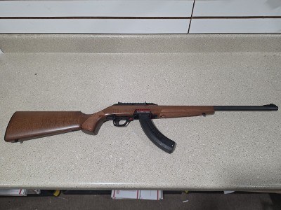 WINCHESTER Wildcat .22 LR - Image 1 of 11