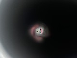 SMITH & WESSON Shield EZ .380 ACP - Image 4 of 4