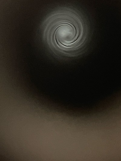 SAVAGE ARMS AXIS 6.5MM CREEDMOOR - Image 12 of 12