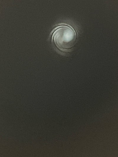 RUGER AMERICAN 6.5CRD 6.5mm CREEDMOOR - Image 12 of 12
