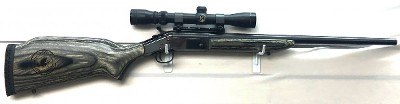 NEW ENGLAND FIREARMS CO. Handi rifle .223 REM