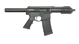 SOTA ARMS PA15 .300 AAC BLACKOUT - Image 2 of 6