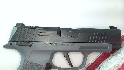 SIG SAUER P365 XL GRAY 9MM LUGER (9x19 PARA) - Image 7 of 9