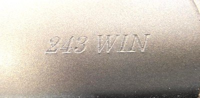 RUGER AMERICAN GEN II PREDATOR 46939 .243 WIN - Image 11 of 12