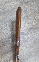 WINCHESTER 74 .22 LR - Image 8 of 11