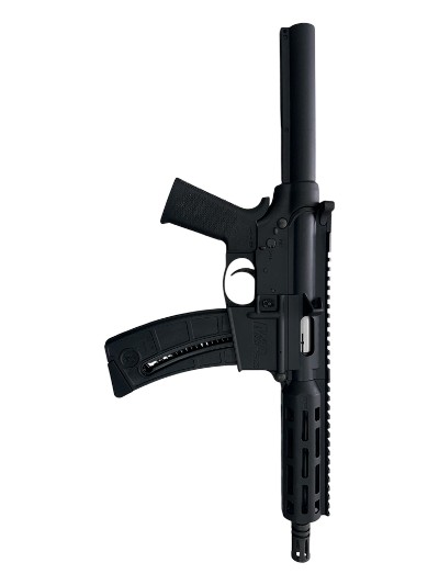 SMITH & WESSON M&P15-22 .22 LR - Image 2 of 5