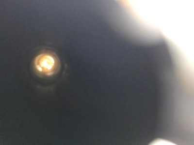 LEGACY SPORTS INTERNATIONAL POINTER ACRIUS - SHOTGUN 20 GA - Image 7 of 7