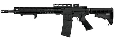 PALMETTO STATE ARMORY PA-15 5.56X45MM NATO - Image 1 of 8