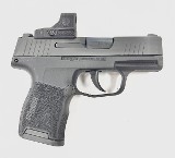 SIG SAUER P365 .380 ACP - Image 2 of 12