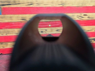 PALMETTO STATE ARMORY PA-15 .223 REM/5.56 NATO - Image 6 of 7