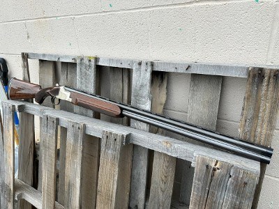 WINCHESTER 101 PIGEON GRADE 12 GA - Image 6 of 8