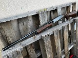 REMINGTON 870 WINGMASTER MAGNUM 20 GA - Image 4 of 7