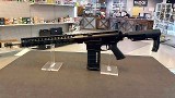 PALMETTO STATE ARMORY G3-10 .308 WIN - Image 1 of 9