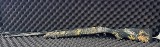 REMINGTON 11-87 SPORTSMAN 20 GA - Image 4 of 5