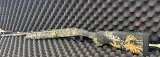 REMINGTON 11-87 SPORTSMAN 20 GA - Image 1 of 5