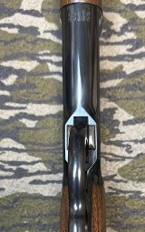 WINCHESTER 1886 .45-90 SHARPS - Image 17 of 17