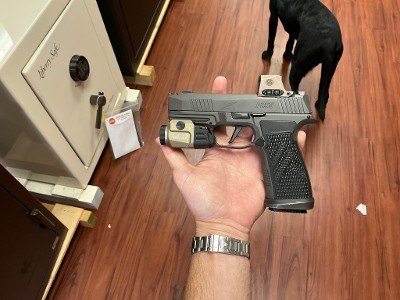 SIG SAUER P365 - Image 4 of 7