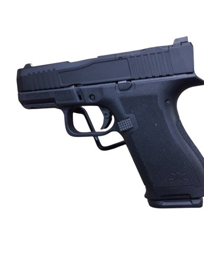 PALMETTO STATE ARMORY DAGGER MICRO 9MM LUGER (9x19 PARA) - Image 2 of 6