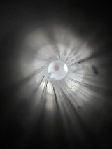 TAURUS 85UL .38 SPL - Image 6 of 6