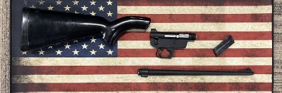 CHARTER ARMS AR-7 .22 LR - Image 2 of 3