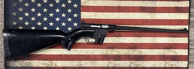 CHARTER ARMS AR-7 .22 LR - Image 3 of 3