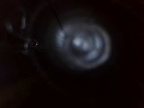 COLT ANACONDA .44 MAGNUM - Image 20 of 21