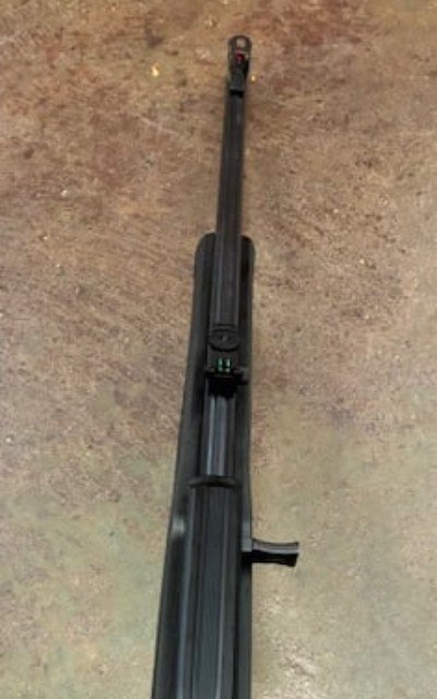 ROSSI RS22 .22 LR - Image 10 of 12