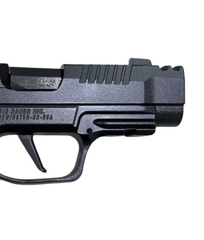 SIG SAUER 365 AXG-Comp-Luxe .380 ACP - Image 4 of 7
