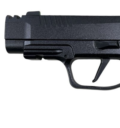 SIG SAUER 365 AXG-Comp-Luxe .380 ACP - Image 5 of 7
