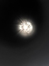 SIG SAUER MOSQUITO-22-T .22 LR - Image 9 of 9