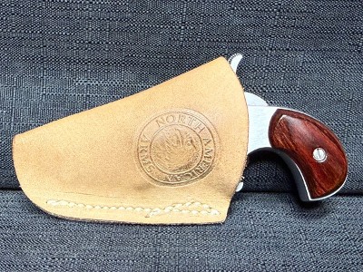NORTH AMERICAN ARMS NAA 22LR .22 LR - Image 6 of 7