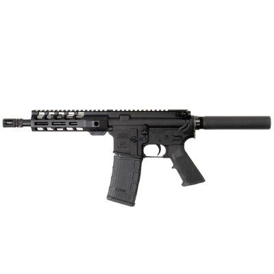 PALMETTO STATE ARMORY PA-15 .300 AAC BLACKOUT - Image 1 of 2