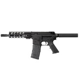 PALMETTO STATE ARMORY PA-15 .300 AAC BLACKOUT - Image 1 of 2