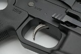 PALMETTO STATE ARMORY PX-9 9MM LUGER (9x19 PARA) - Image 11 of 25