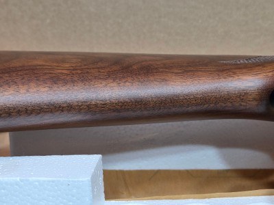 REMINGTON 870 EXPRESS 12 GA - Image 22 of 25