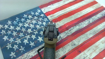 WALTHER P22 PISTOL 22 Long (22L) - Image 5 of 9