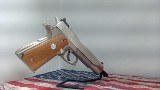 COLT MKIV SERIES 70 GOV&sbquo;T MODEL 45 45 ACP (45 Auto) - Image 4 of 17