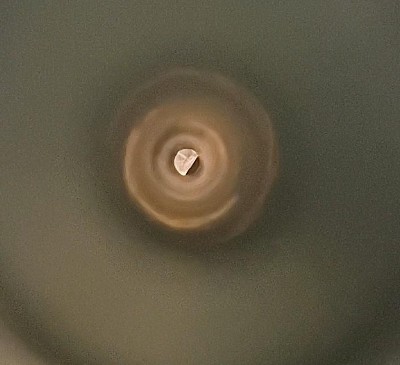 SAVAGE ARMS AXIS 2 PRO .243 WIN - Image 4 of 12